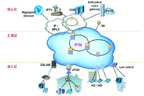 PTN(yng)È